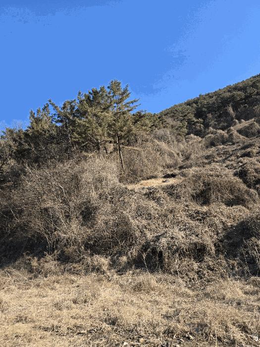 경상남도 함안군 군북면 박곡리 1132 답 경매 사진 19