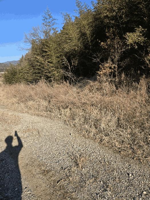 경상남도 함안군 군북면 박곡리 1132 답 경매 사진 27