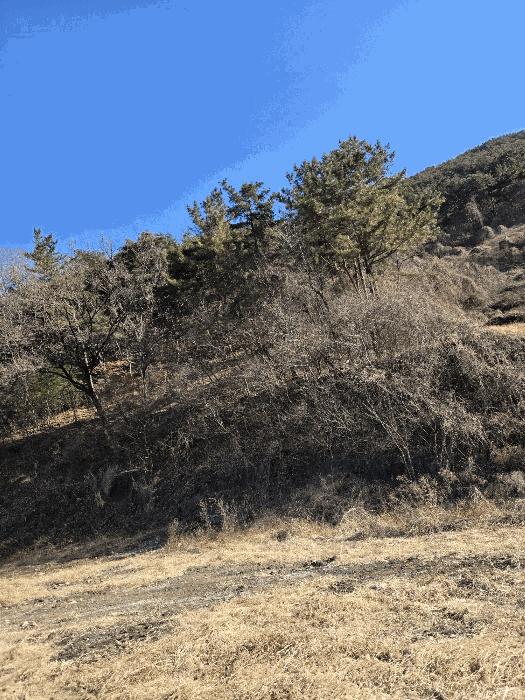경상남도 함안군 군북면 박곡리 1132 답 경매 사진 35