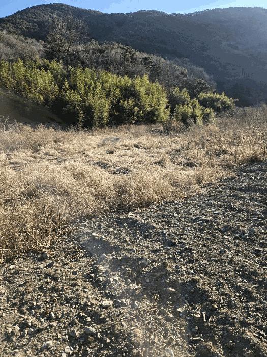 경상남도 함안군 군북면 박곡리 1132 답 경매 사진 37