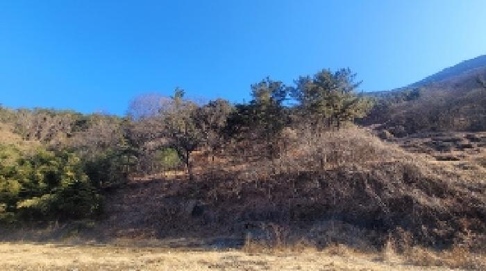경상남도 함안군 군북면 박곡리 1132 답 경매 사진 56