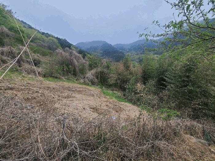 경상남도 창원시 마산합포구 진전면 여양리 90 전 경매 사진 1