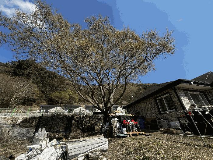 경상남도 함안군 여항면 주동리 718 근린주택 경매 사진 12