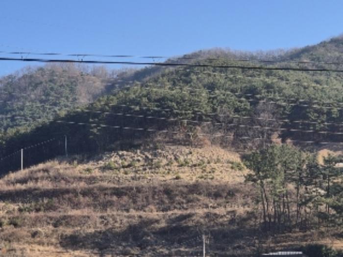 전라남도 화순군 화순읍 이십곡리 산136-1 임야 경매 사진 6