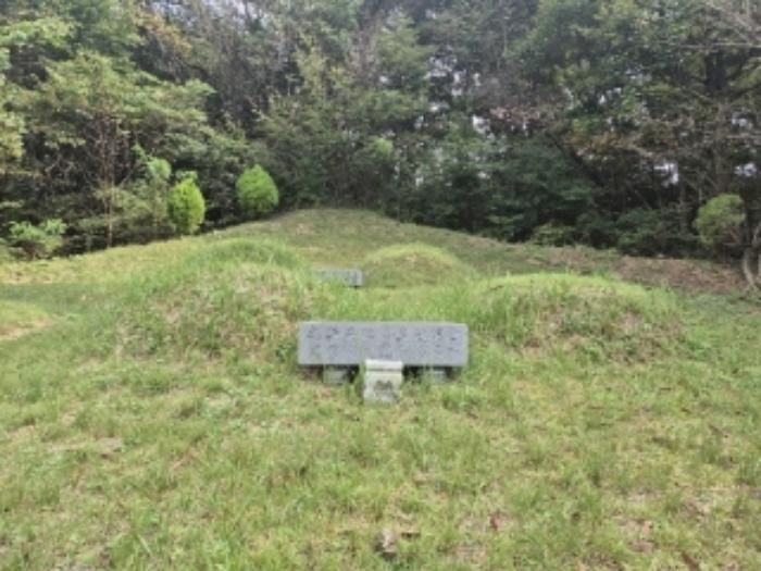 전라남도 담양군 창평면 광덕리 산58 임야 경매 사진 7