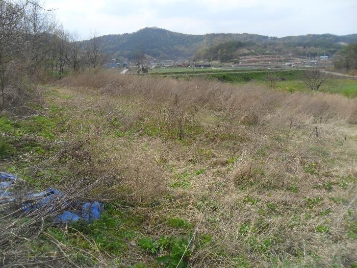 경상남도 창녕군 장마면 산지리 698-1 전 경매 사진 2