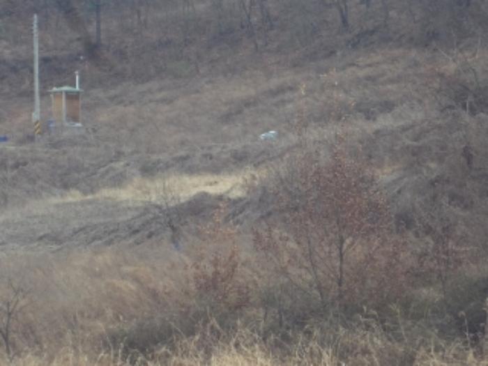 경상남도 창녕군 장마면 산지리 698-1 전 경매 사진 6