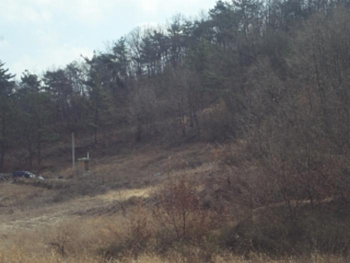 경상남도 창녕군 장마면 산지리 698-1 전 경매 사진 8