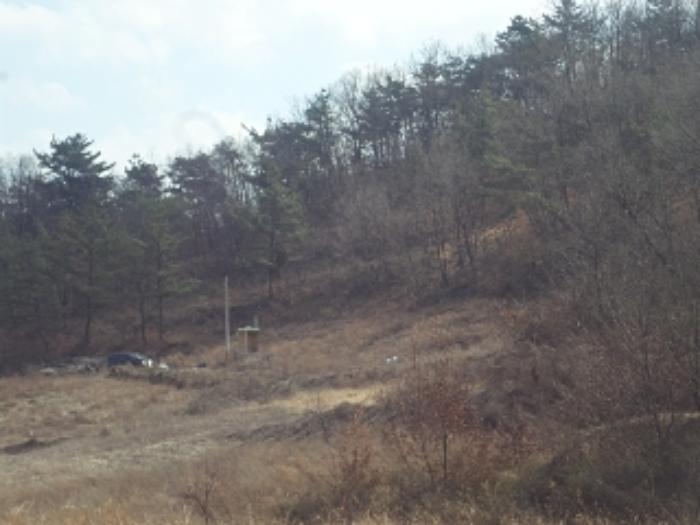경상남도 창녕군 장마면 산지리 698-1 전 경매 사진 9