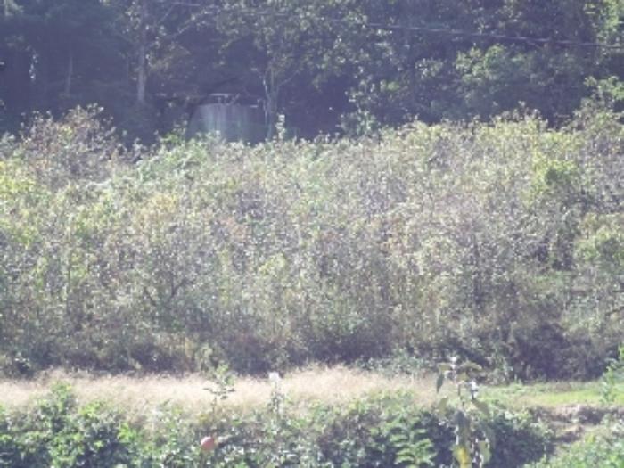 경상남도 밀양시 산내면 남명리 603 답 경매 사진 4