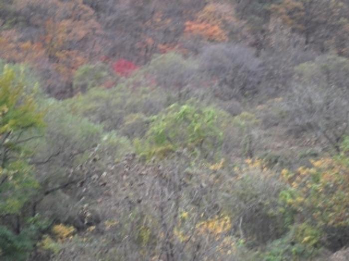 경상남도 밀양시 단장면 구천리 2276 하천 경매 사진 11