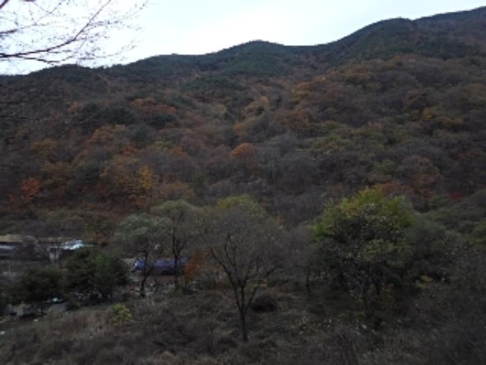 경상남도 밀양시 단장면 구천리 2276 하천 경매 사진 7