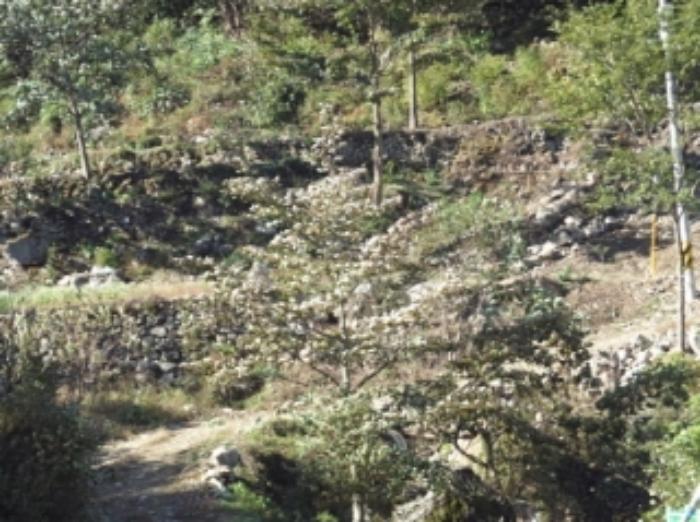 경상남도 밀양시 단장면 범도리 1323 하천 경매 사진 11