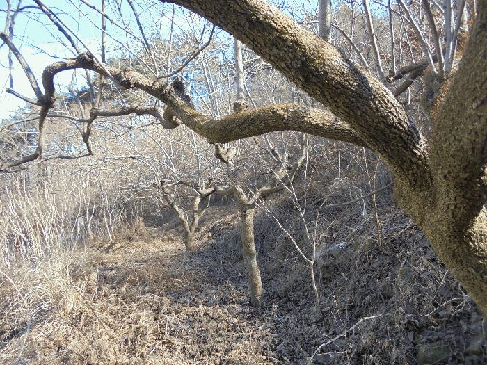 경상남도 밀양시 단장면 범도리 1323 하천 경매 사진 3