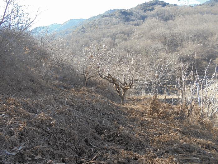 경상남도 밀양시 단장면 범도리 1323 하천 경매 사진 5