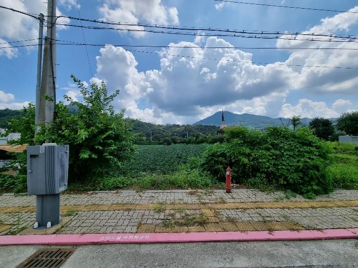 충청북도 충주시 동량면 조동리 1345-1 전 경매 사진 2