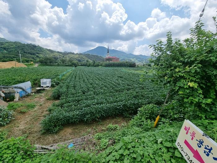 충청북도 충주시 동량면 조동리 1345-1 전 경매 사진 3