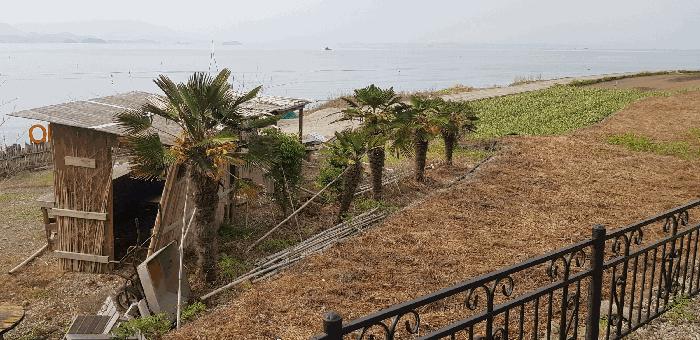 경상남도 남해군 창선면 서대리 1209 다가구주택 경매 사진 10