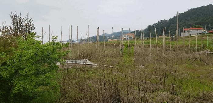 경상남도 남해군 창선면 서대리 1209 다가구주택 경매 사진 19