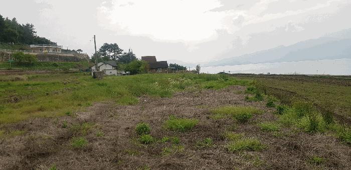 경상남도 남해군 창선면 서대리 1209 다가구주택 경매 사진 5