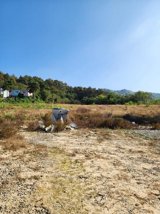 충청북도 충주시 주덕읍 대곡리 119-23 상가 경매 사진 11