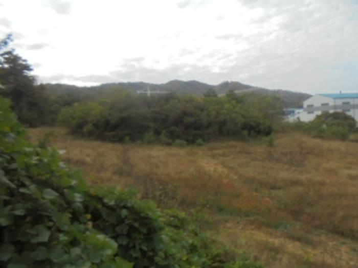 충청북도 충주시 주덕읍 대곡리 119-23 상가 경매 사진 16