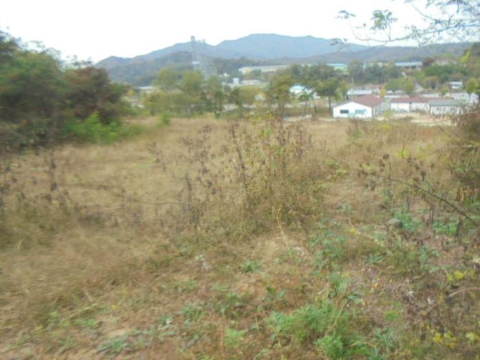 충청북도 충주시 주덕읍 대곡리 119-23 상가 경매 사진 19