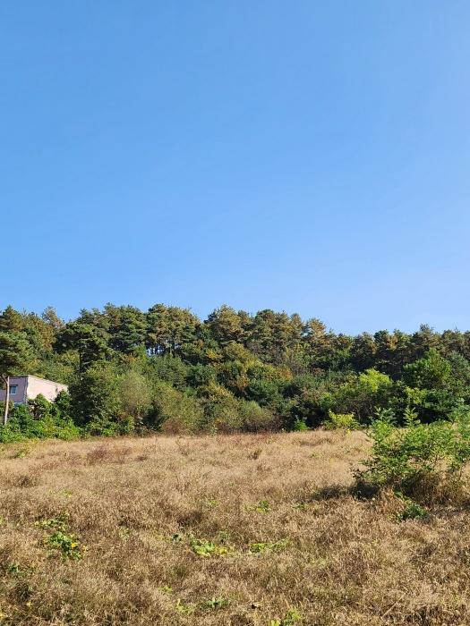 충청북도 충주시 주덕읍 대곡리 119-23 상가 경매 사진 4