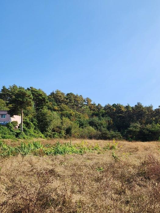 충청북도 충주시 주덕읍 대곡리 119-23 상가 경매 사진 8