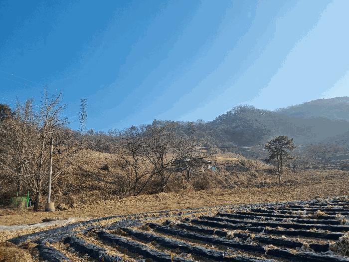 충청북도 충주시 임야