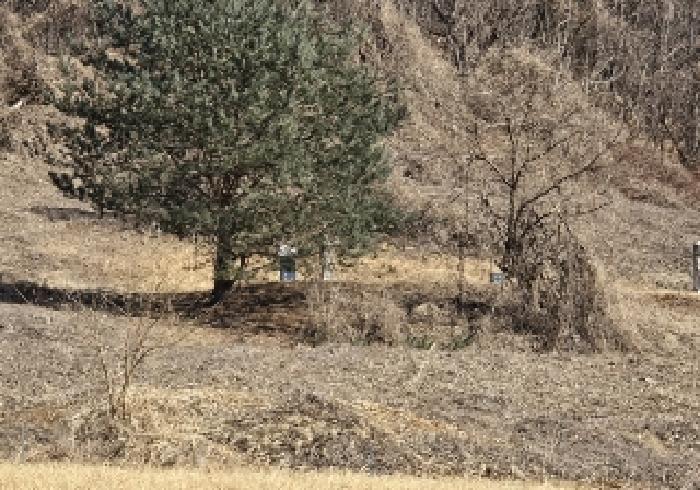 충청북도 충주시 소태면 양촌리 산33 임야 경매 사진 12