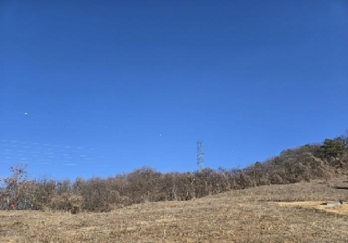 충청북도 충주시 소태면 양촌리 산33 임야 경매 사진 14
