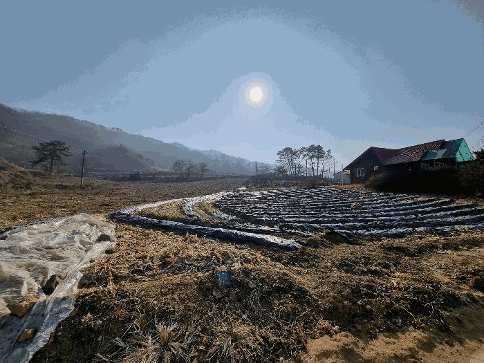 충청북도 충주시 소태면 양촌리 산33 임야 경매 사진 3