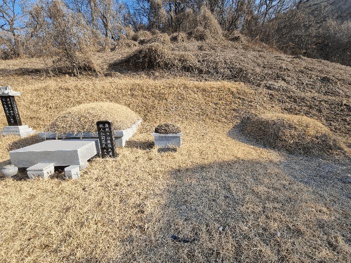 충청북도 충주시 소태면 양촌리 산33 임야 경매 사진 4