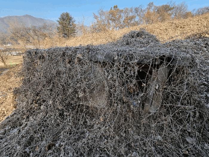 충청북도 충주시 소태면 양촌리 산33 임야 경매 사진 5