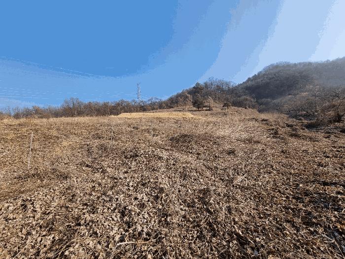 충청북도 충주시 소태면 양촌리 산33 임야 경매 사진 6