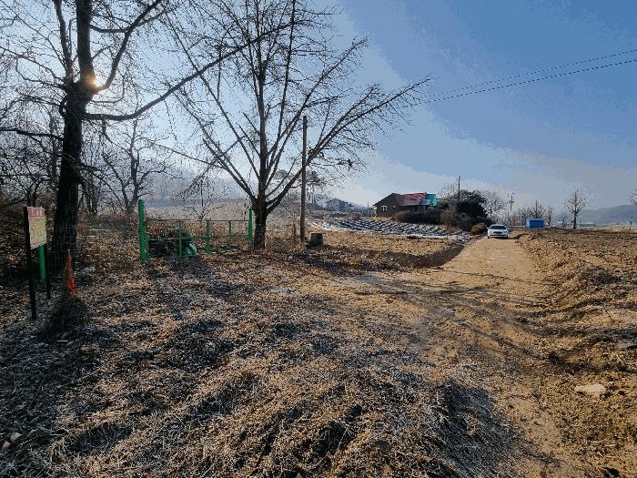 충청북도 충주시 소태면 양촌리 산33 임야 경매 사진 7
