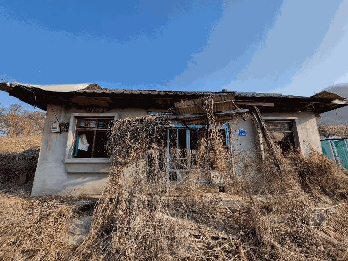 충청북도 충주시 소태면 양촌리 산33 임야 경매 사진 9
