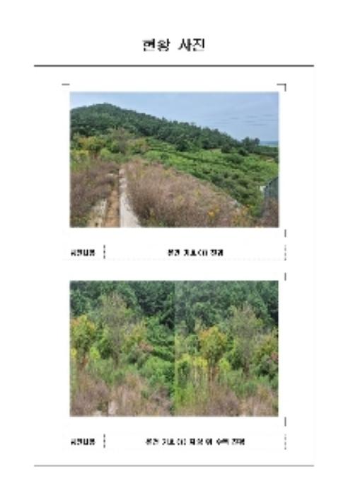 전라남도 무안군 삼향읍 남악리 10-4 주택 경매 사진 23