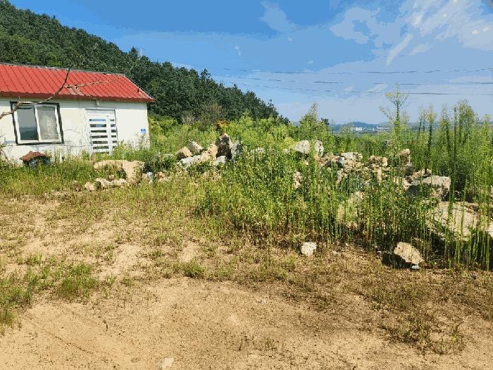 전라남도 무안군 삼향읍 남악리 10-4 주택 경매 사진 9