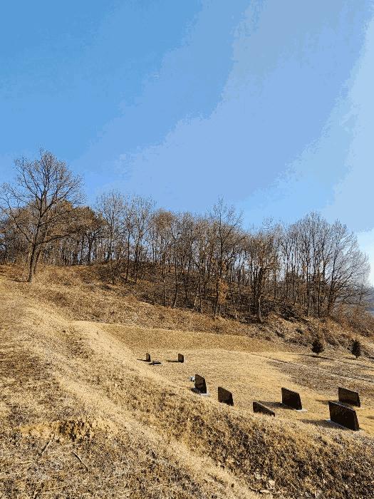 충청북도 음성군 금왕읍 각회리 산104-8 임야 경매 사진 1