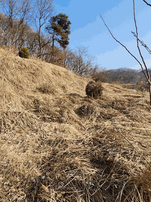 충청북도 음성군 금왕읍 각회리 산104-8 임야 경매 사진 10