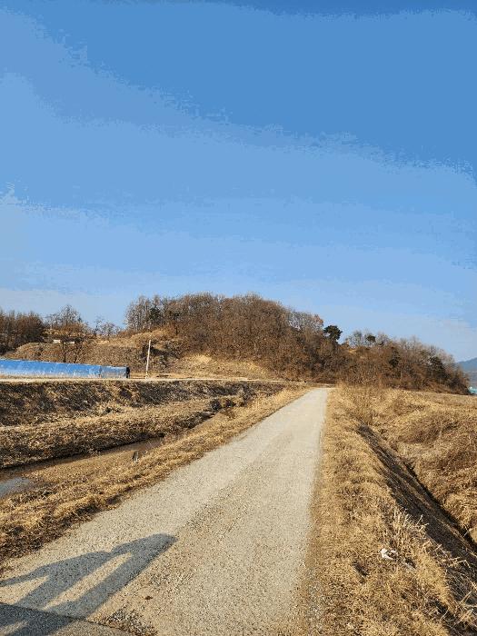 충청북도 음성군 금왕읍 각회리 산104-8 임야 경매 사진 11