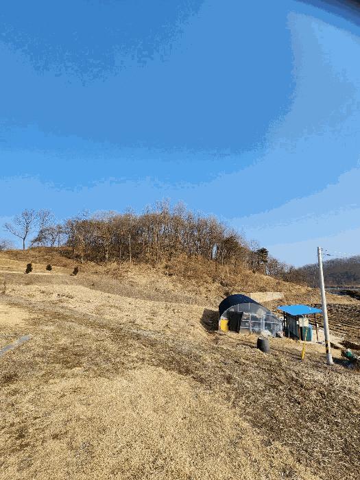 충청북도 음성군 금왕읍 각회리 산104-8 임야 경매 사진 12