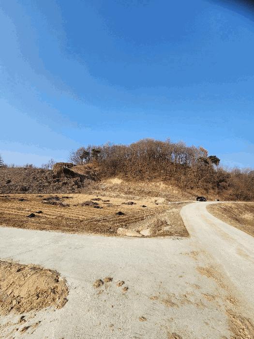 충청북도 음성군 금왕읍 각회리 산104-8 임야 경매 사진 13