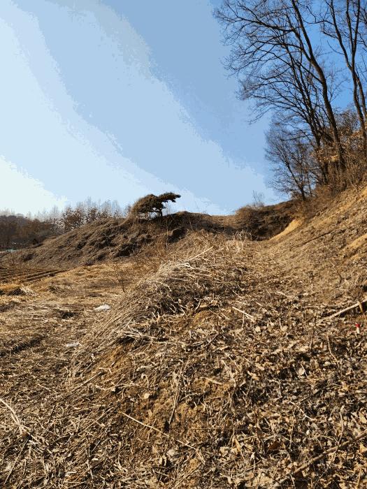 충청북도 음성군 금왕읍 각회리 산104-8 임야 경매 사진 16