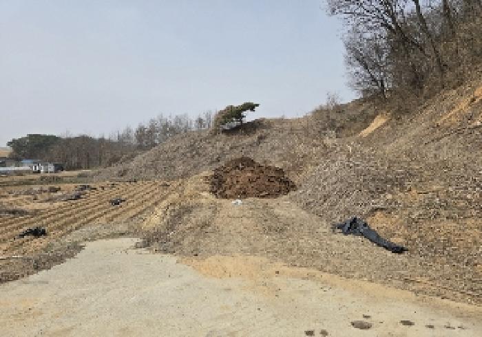 충청북도 음성군 금왕읍 각회리 산104-8 임야 경매 사진 17