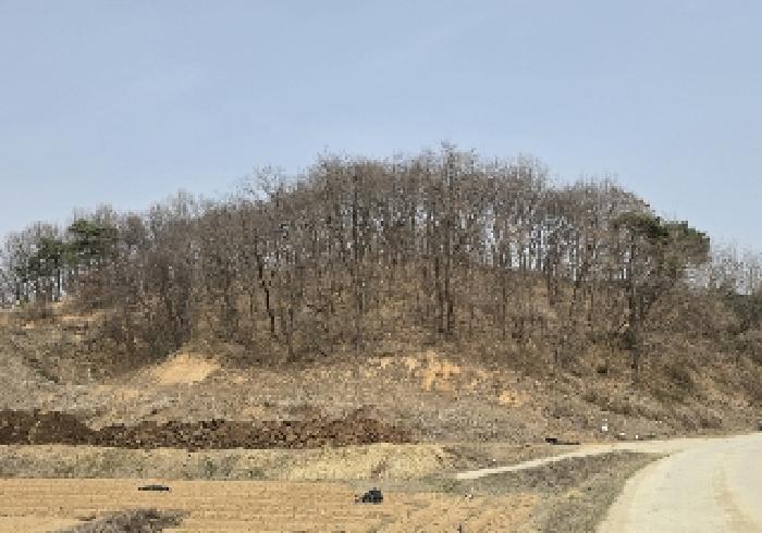 충청북도 음성군 금왕읍 각회리 산104-8 임야 경매 사진 18