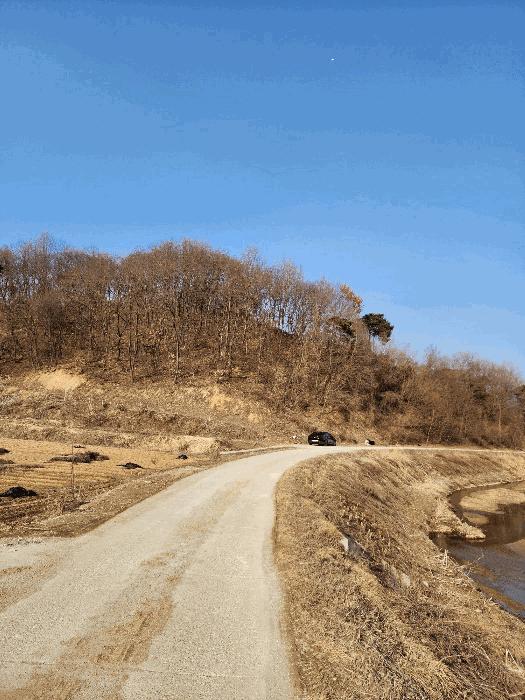 충청북도 음성군 금왕읍 각회리 산104-8 임야 경매 사진 2
