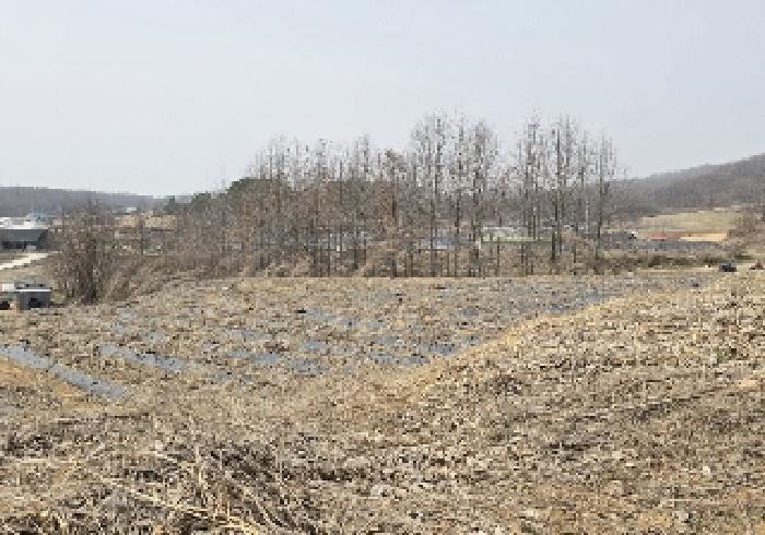 충청북도 음성군 금왕읍 각회리 산104-8 임야 경매 사진 20